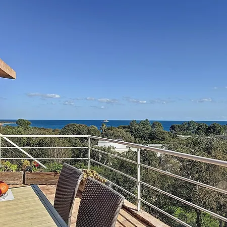 Mimosa 150 M From Pinarello * Дзондза