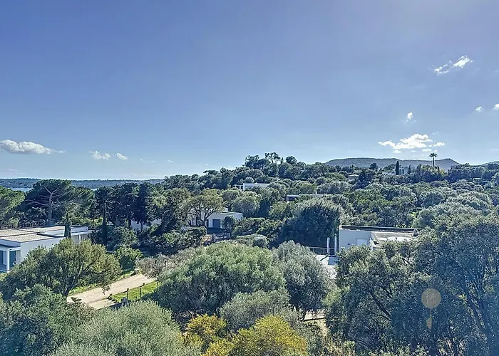 Mimosa 150 M From Pinarello