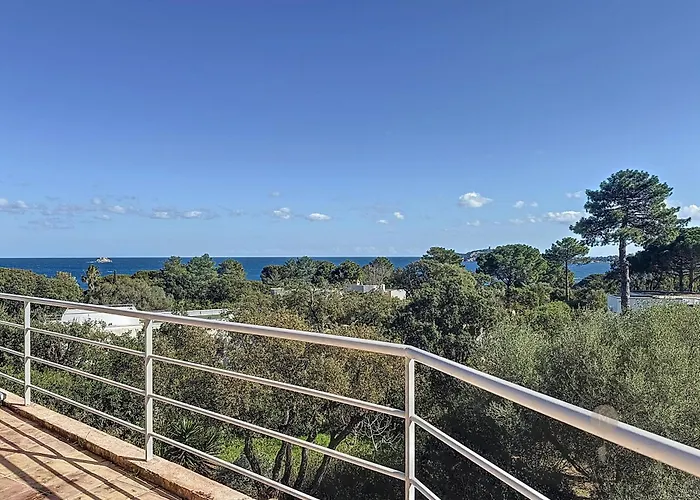 Mimosa 150 M From Pinarello